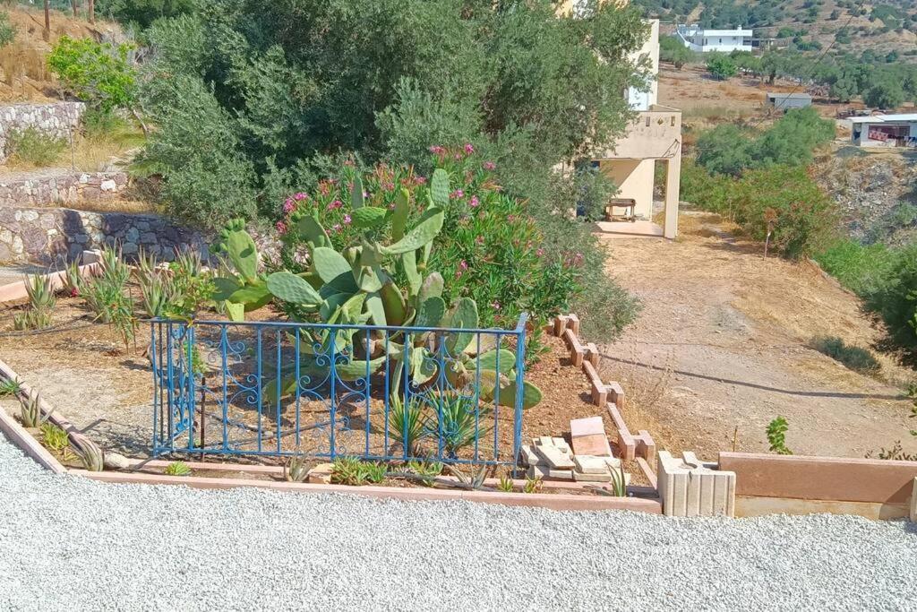Το Σπίτι Που Σε Ταξιδεύει Villa อาเยียกาลินี ภายนอก รูปภาพ